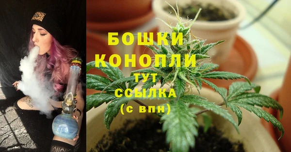 дурь Бугульма