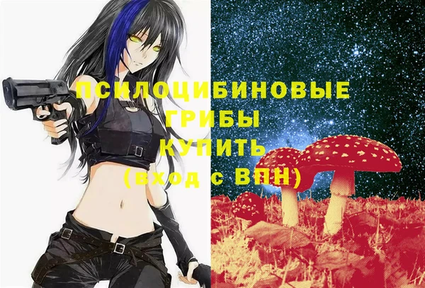 МДМА Богданович