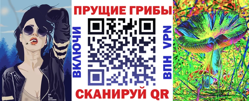 где купить   Верхотурье  Галлюциногенные грибы Psilocybe 